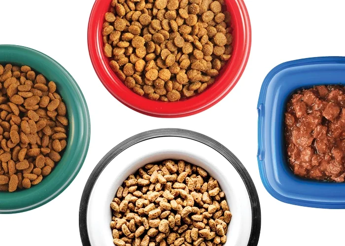Bowls of different pet foods